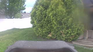 Unidentified clip
