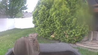Unidentified clip