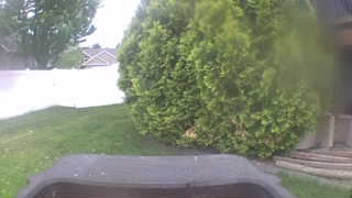 Unidentified clip