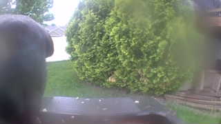 Unidentified clip