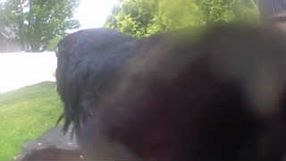 Unidentified clip