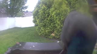 Unidentified clip