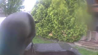 Unidentified clip