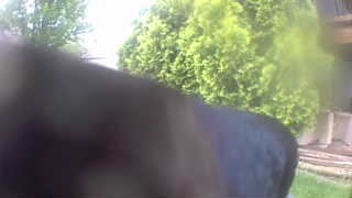 Unidentified clip
