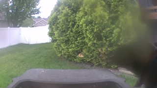 Unidentified clip