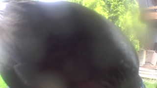 Unidentified clip