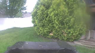 Unidentified clip