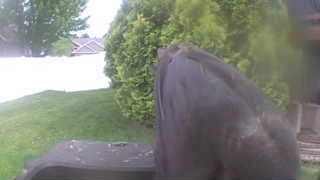 Unidentified clip