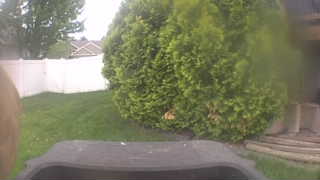 Unidentified clip