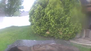 Unidentified clip