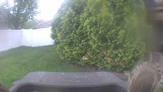 Unidentified clip