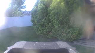 Unidentified clip