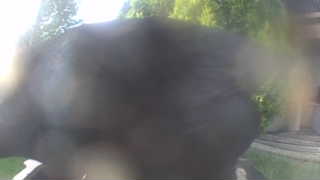 Unidentified clip