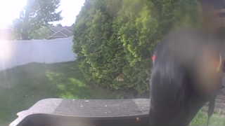 Unidentified clip