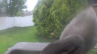 Unidentified clip