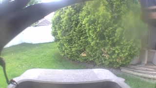 Unidentified clip