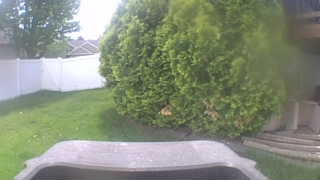 Unidentified clip