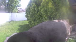Unidentified clip