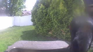 Unidentified clip
