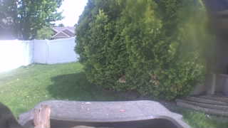 Unidentified clip