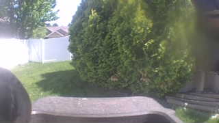 Unidentified clip