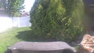 Unidentified clip